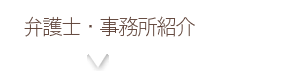 弁護士・事務所紹介